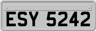 ESY5242