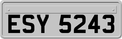 ESY5243