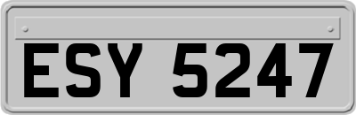 ESY5247