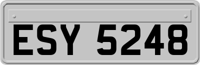 ESY5248