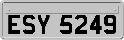 ESY5249
