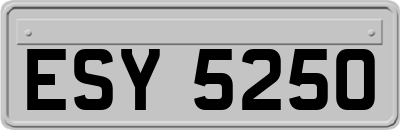 ESY5250