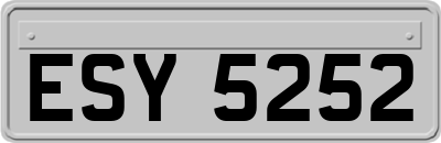 ESY5252