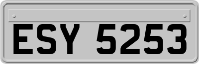 ESY5253
