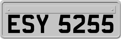 ESY5255