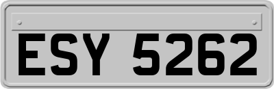 ESY5262