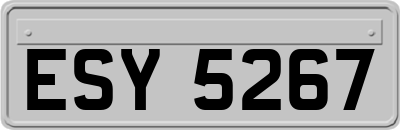 ESY5267