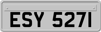 ESY5271
