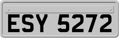 ESY5272
