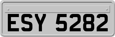 ESY5282