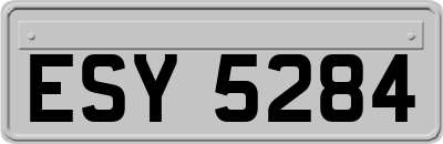 ESY5284