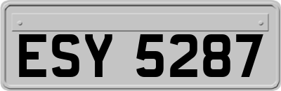 ESY5287