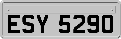 ESY5290