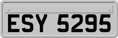 ESY5295