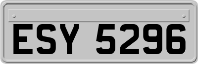 ESY5296