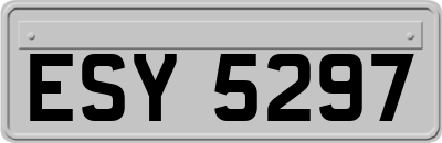 ESY5297