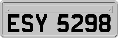 ESY5298