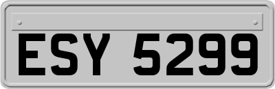 ESY5299
