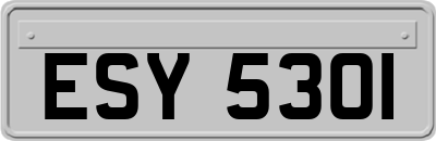 ESY5301