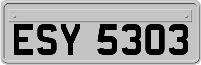 ESY5303