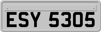 ESY5305