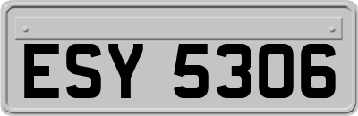 ESY5306