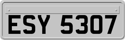 ESY5307