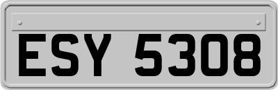 ESY5308