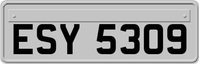 ESY5309