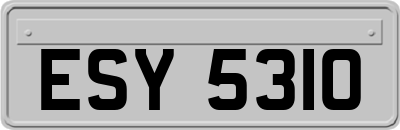 ESY5310