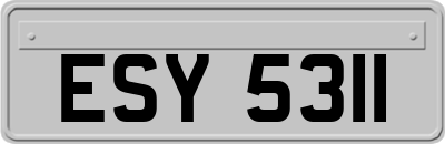 ESY5311