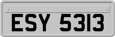 ESY5313