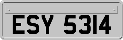 ESY5314
