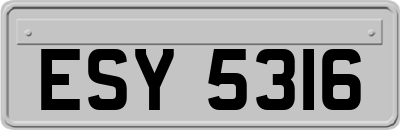 ESY5316