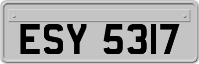 ESY5317