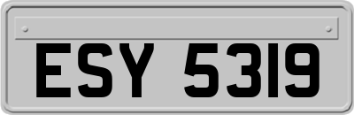 ESY5319