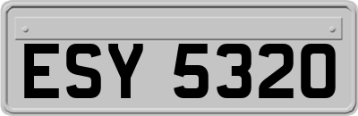 ESY5320