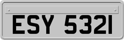 ESY5321