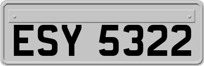 ESY5322
