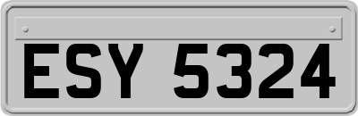 ESY5324