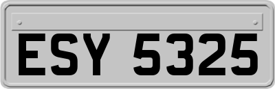 ESY5325