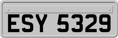 ESY5329