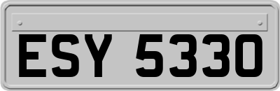 ESY5330