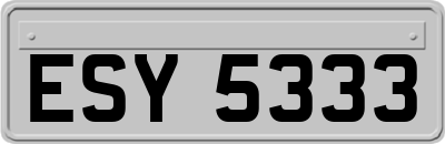 ESY5333