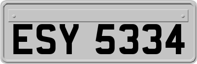 ESY5334
