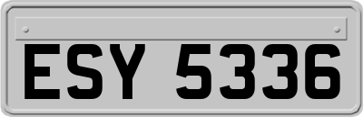 ESY5336