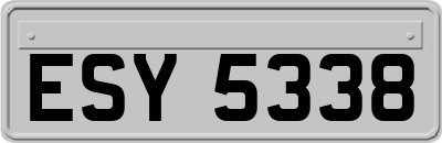 ESY5338