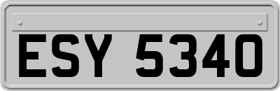 ESY5340