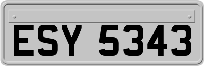ESY5343