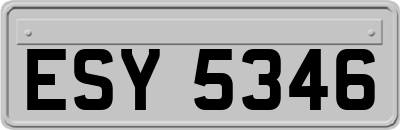 ESY5346